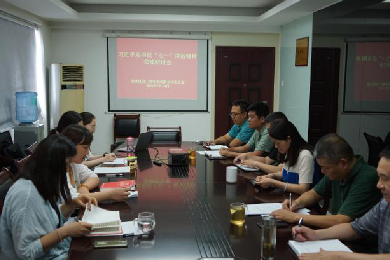 咨詢黨支部組織召開(kāi)學(xué)習(xí)習(xí)近平總書記“七一”講話精神交流研討會(huì)